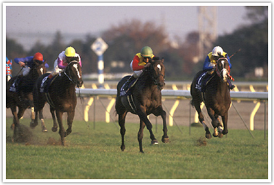 すぐ発送可能！ 記念蹄鉄 第24回ジャパンカップ 準優勝 コスモバルク