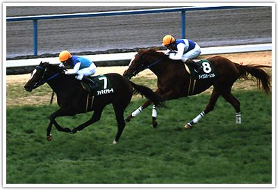大戦略|競馬最強の法則WEB 大戦略|競馬最強の法則WEB