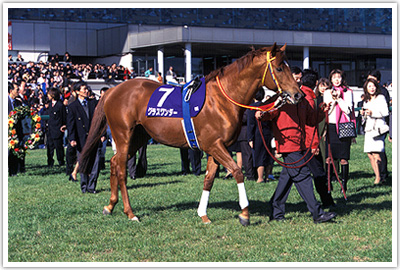 競馬最強の法則WEB