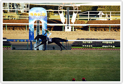 またもや圧勝|競馬最強の法則WEB またもや圧勝|競馬最強の法則WEB