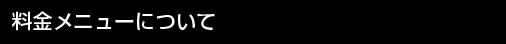 �����˥塼�ˤĤ���