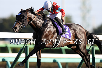 ラスト１】９０万馬券的中 地方競馬攻略予想 地方競馬＋中央競馬予想 - 趣味