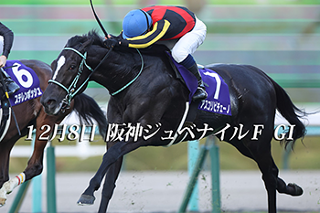 競馬予想なら！競馬最強の法則WEB