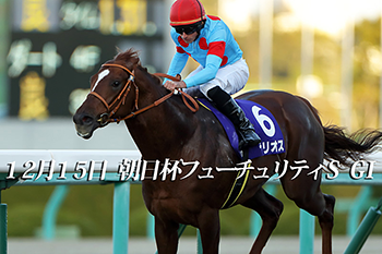 競馬予想なら！競馬最強の法則WEB