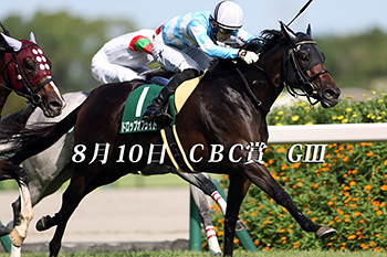 競馬予想なら！競馬最強の法則WEB